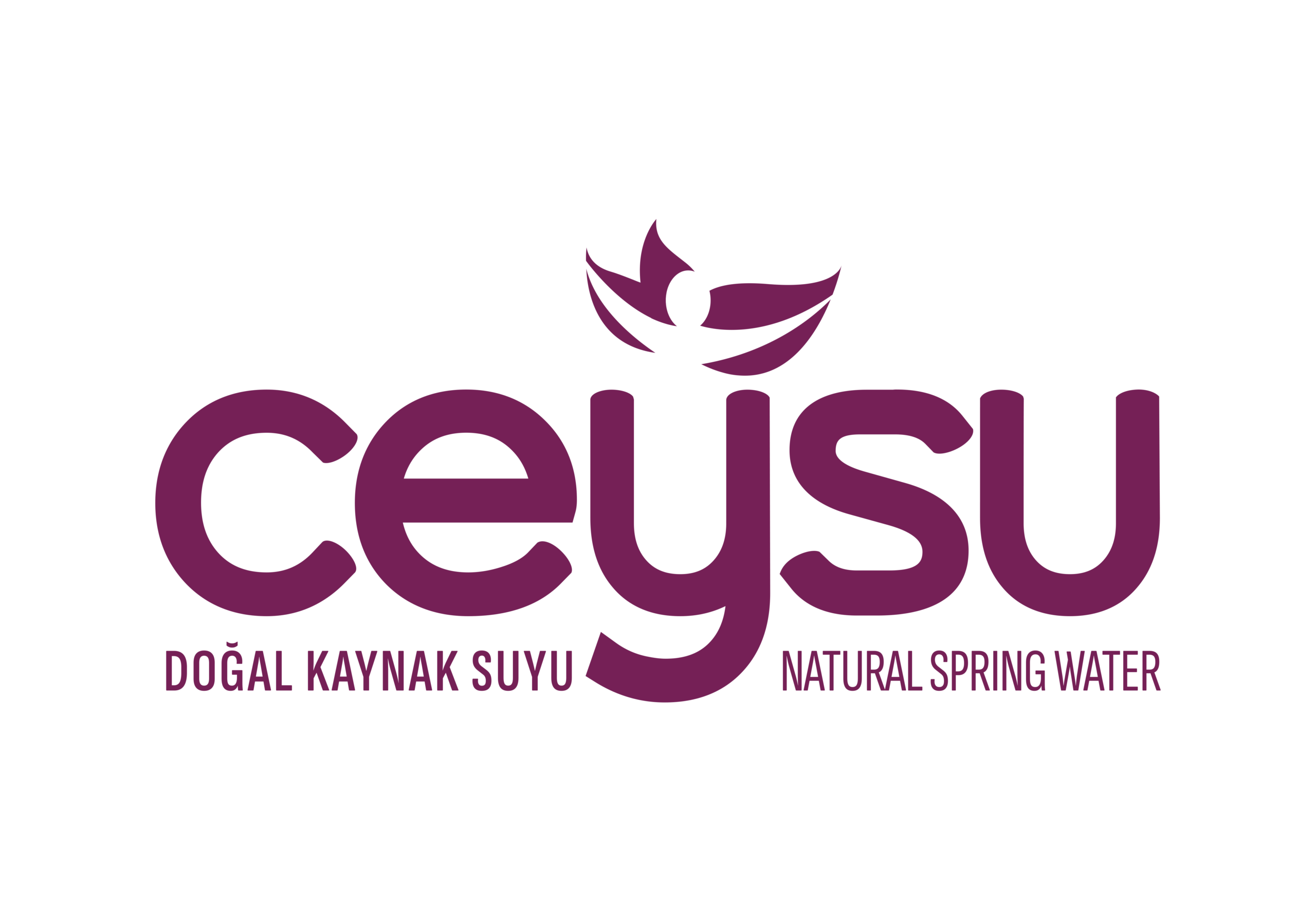 CEYSU_logo